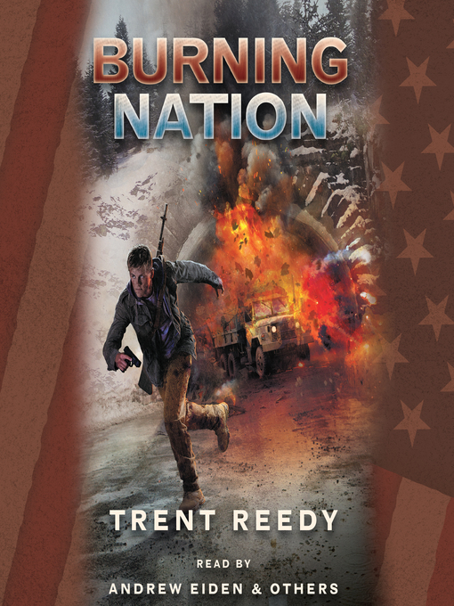 Title details for Burning Nation (Divided We Fall, Book 2) by Trent Reedy - Available